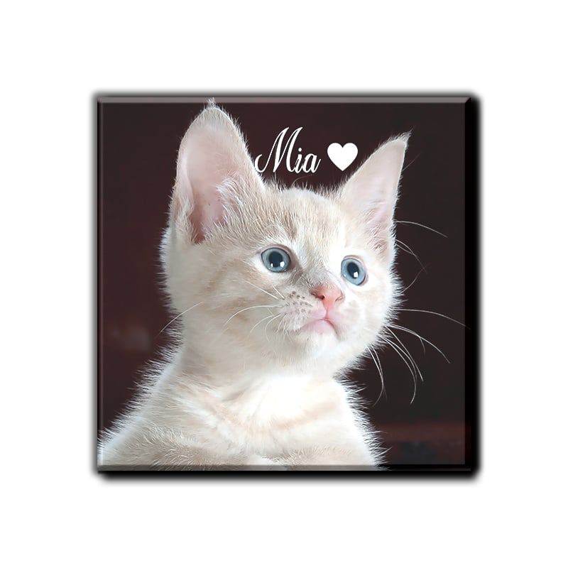 Perfect vierkant formaat van 5,5cm voor optimale zichtbaarheid.