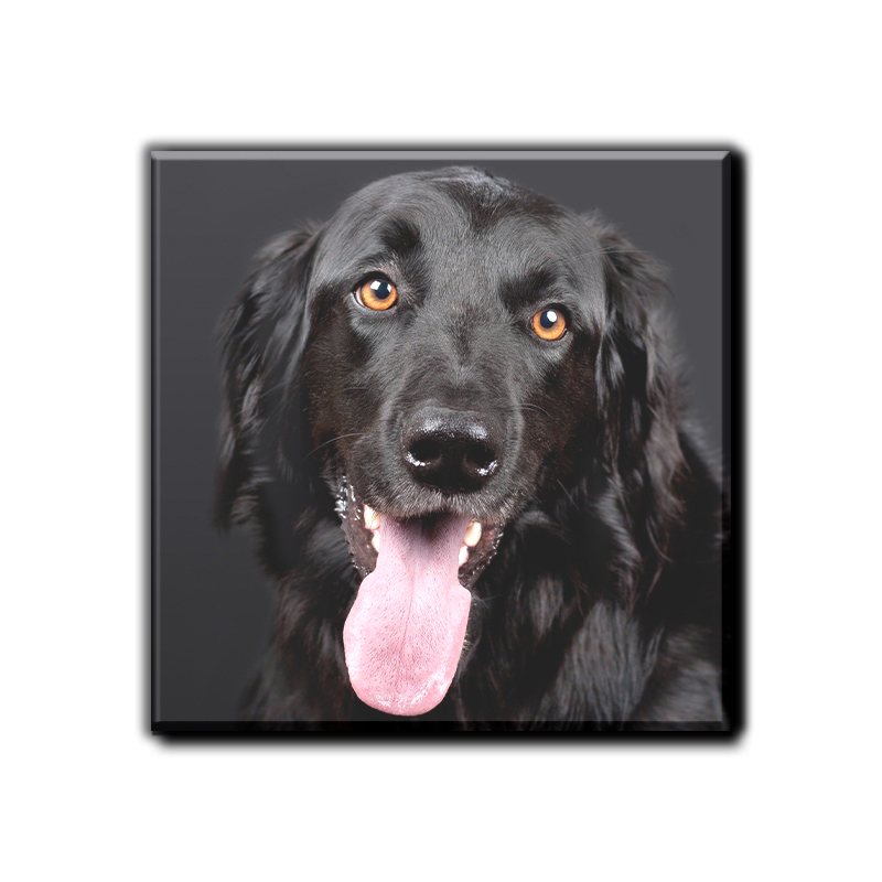 Hoogwaardig natuurlijk hout voor een warme, authentieke uitstraling.