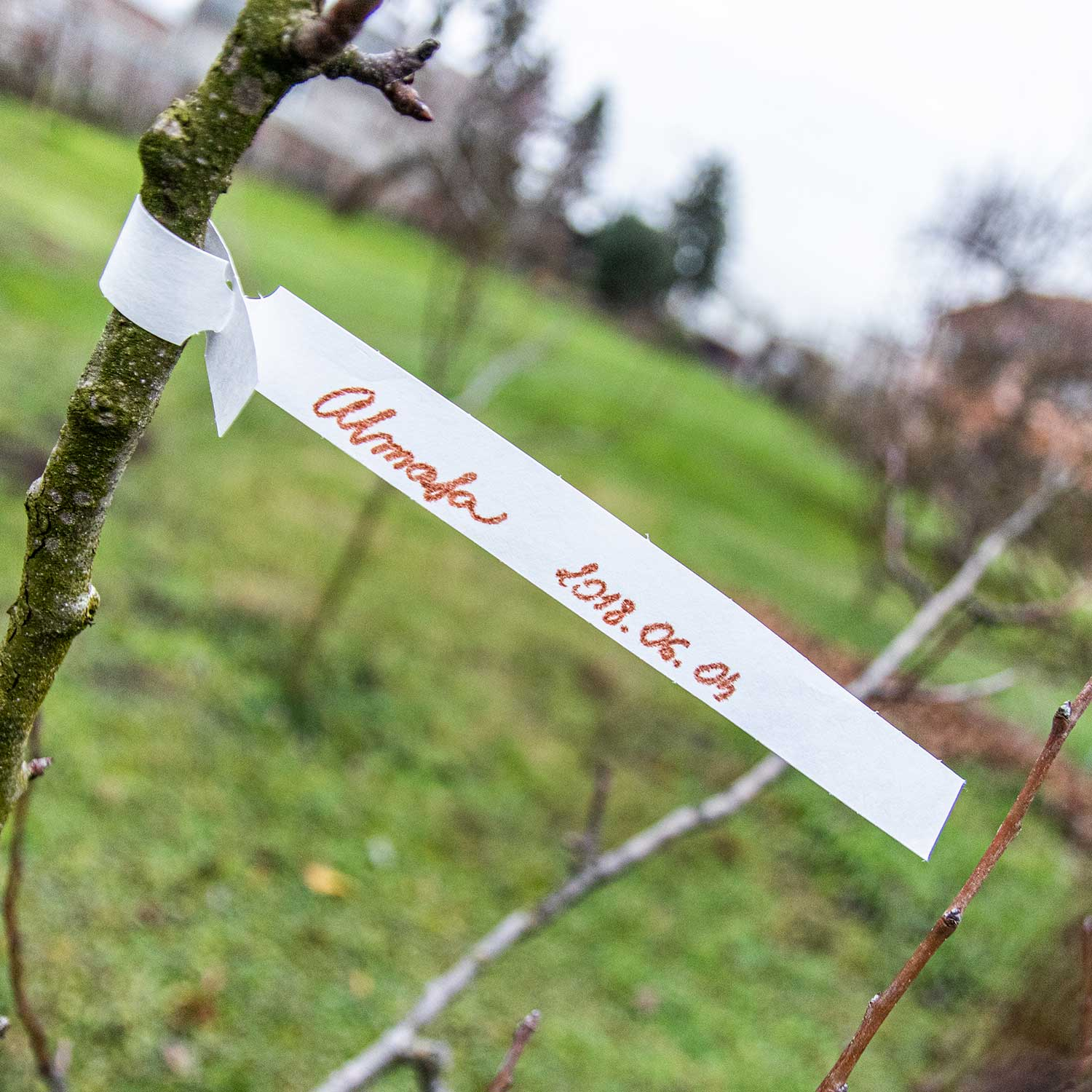 Praktisch formaat met voldoende ruimte voor alle belangrijke gegevens.
