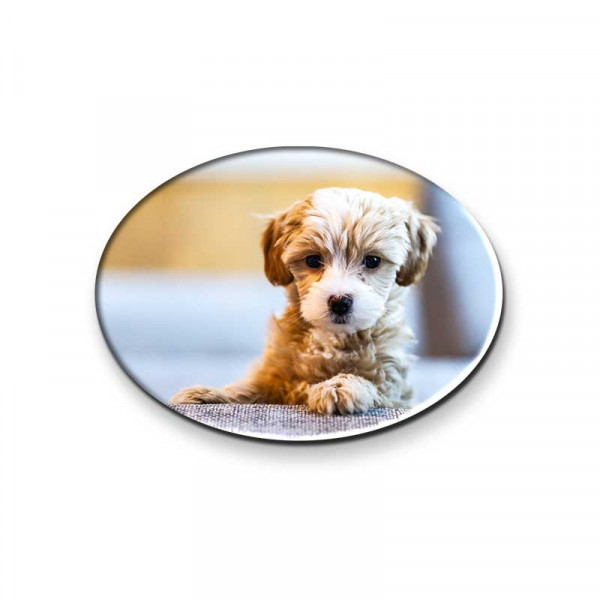 Duurzaam flexibel materiaal met hoogwaardige glanzende afwerking.