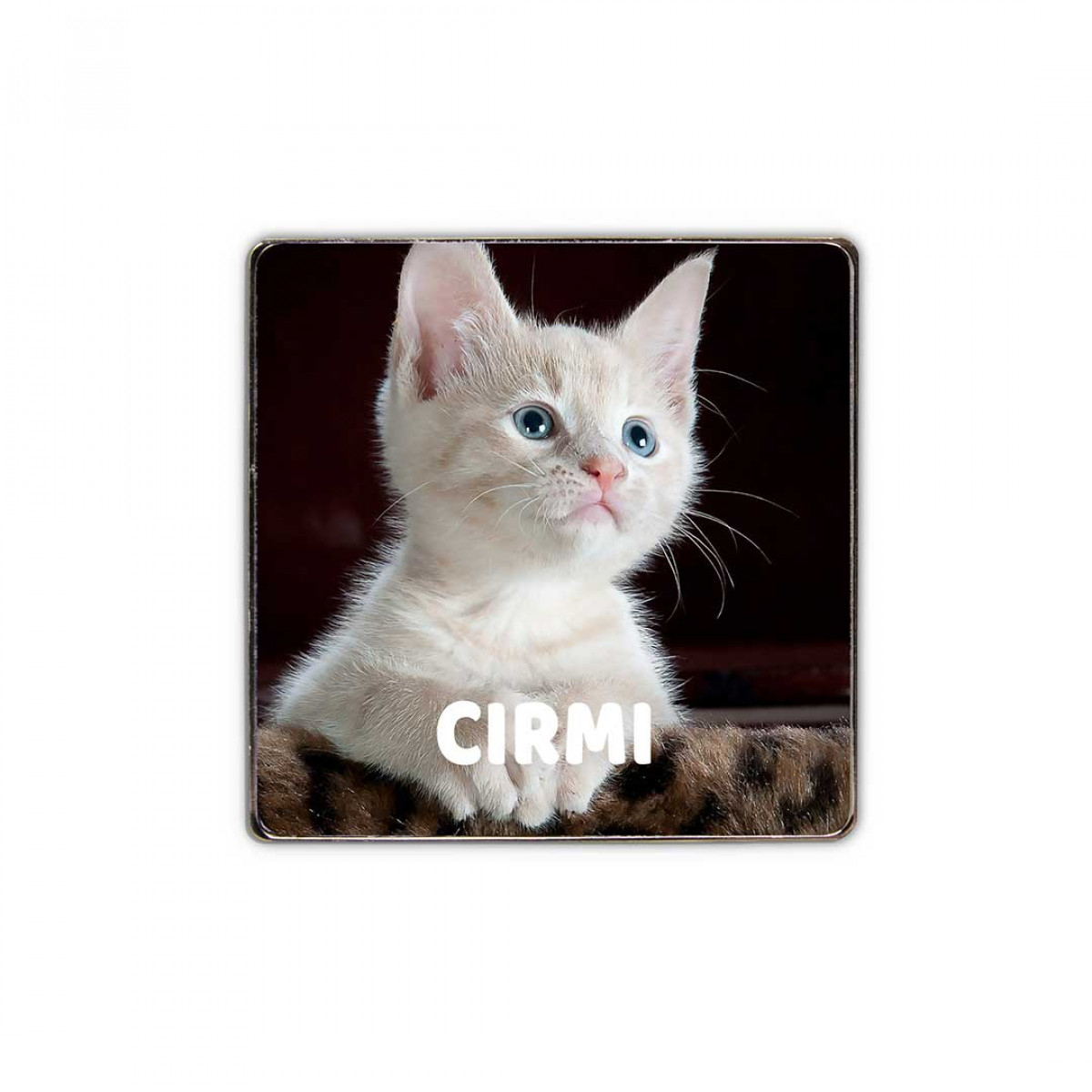 Upload je favoriete foto en creëer een unieke gepersonaliseerde magneet.