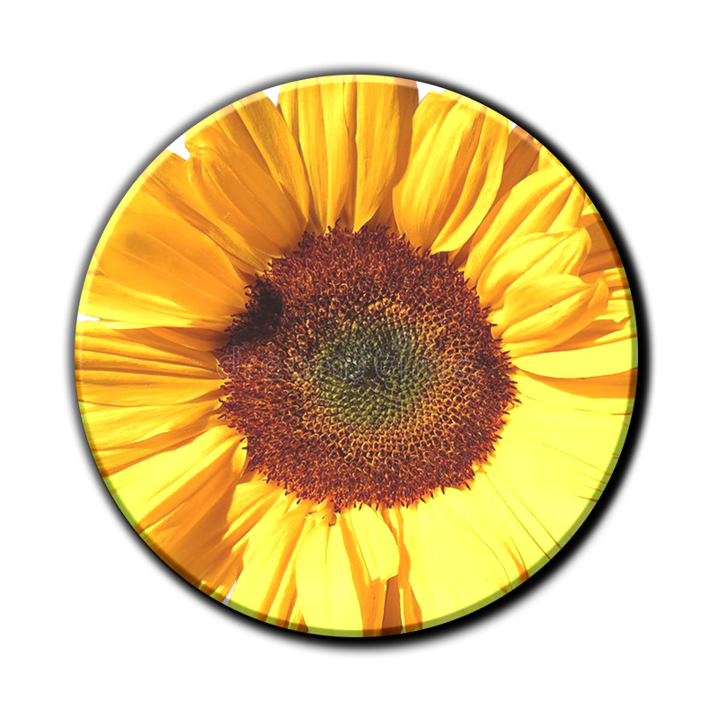 Levendige kleuren en scherpe details dankzij hoogwaardige print.