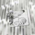 Gepersonaliseerde fotopuzzel - 35 stukjes