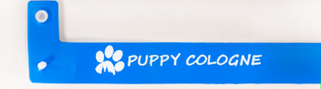 Ja, ik heb personalisatie in één kleur nodig (1+0)! - +€ 10,000 (+€ 12,300 Incl. BTW)